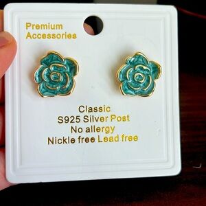 New unused earrings- blue turquoiseish